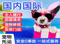 永兴空运地址国际宠物托运 【国